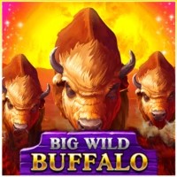 game logo by Belatra Games on casinoneonvegas.com